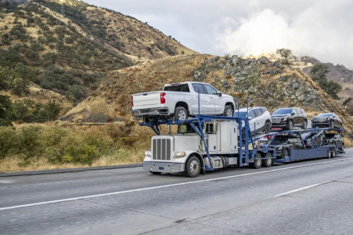 Tips and Tricks for Shipping Multiple Vehicles Between States Efficiently